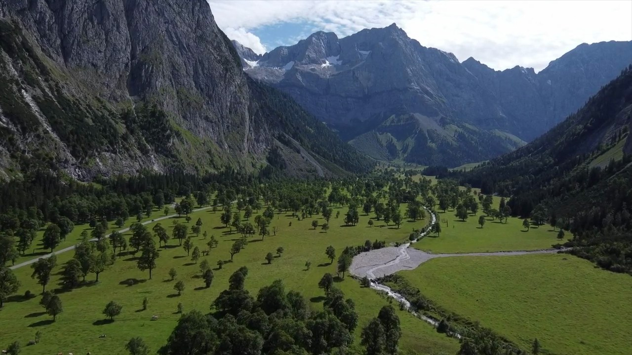 Still from the trip video at 1:40