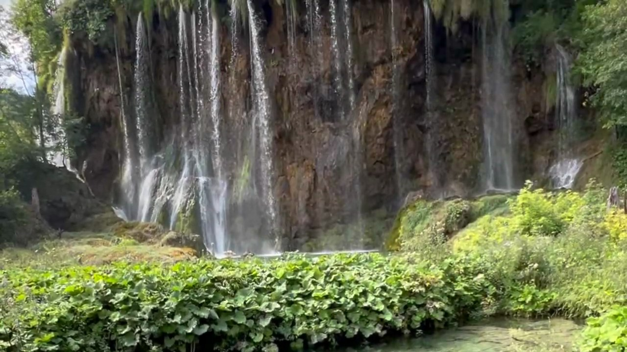 Trip video still — pee sniclie