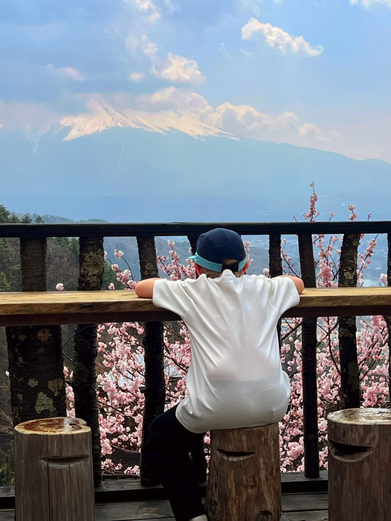 Mt. Fuji rising above Lake Kawaguchiko with cherry blossoms in the foreground